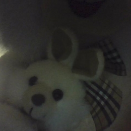 Пара, ищем девушку в области, Истре Пара, ищем девушку в области, Истре